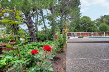 7 San Marino Drive , San Rafael #22