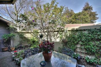 35 Willow Lane, Sausalito #7