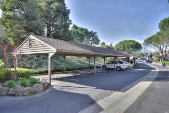 35 Willow Lane, Sausalito #32