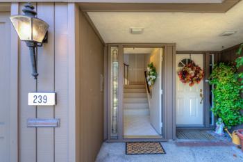 239 Knollwood Drive, San Rafael #2